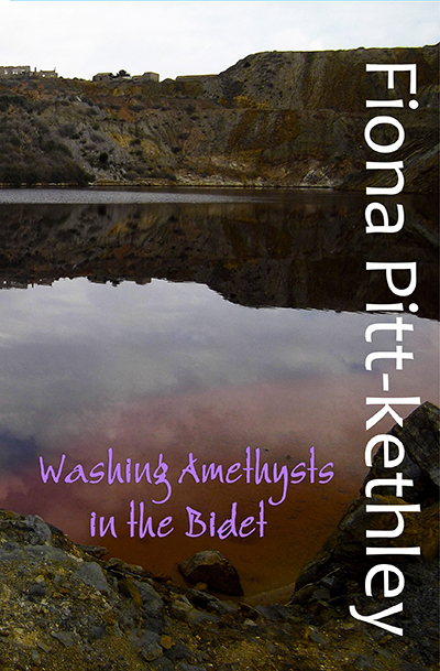 Washing the Amethysts in the Bidet